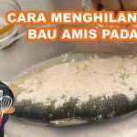 Cara Menghilangkan Bau Amis Pada Ikan Laut Dengan Cepat Panduan Lengkap Untuk Dapur Anda
