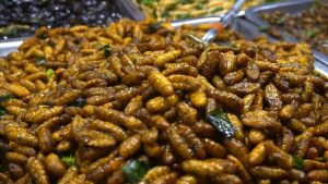 Menguak Sensasi 10 Makanan Kaki Lima Paling Ekstrim Di Thailand Yang Menguji Adrenalin Kuliner Anda